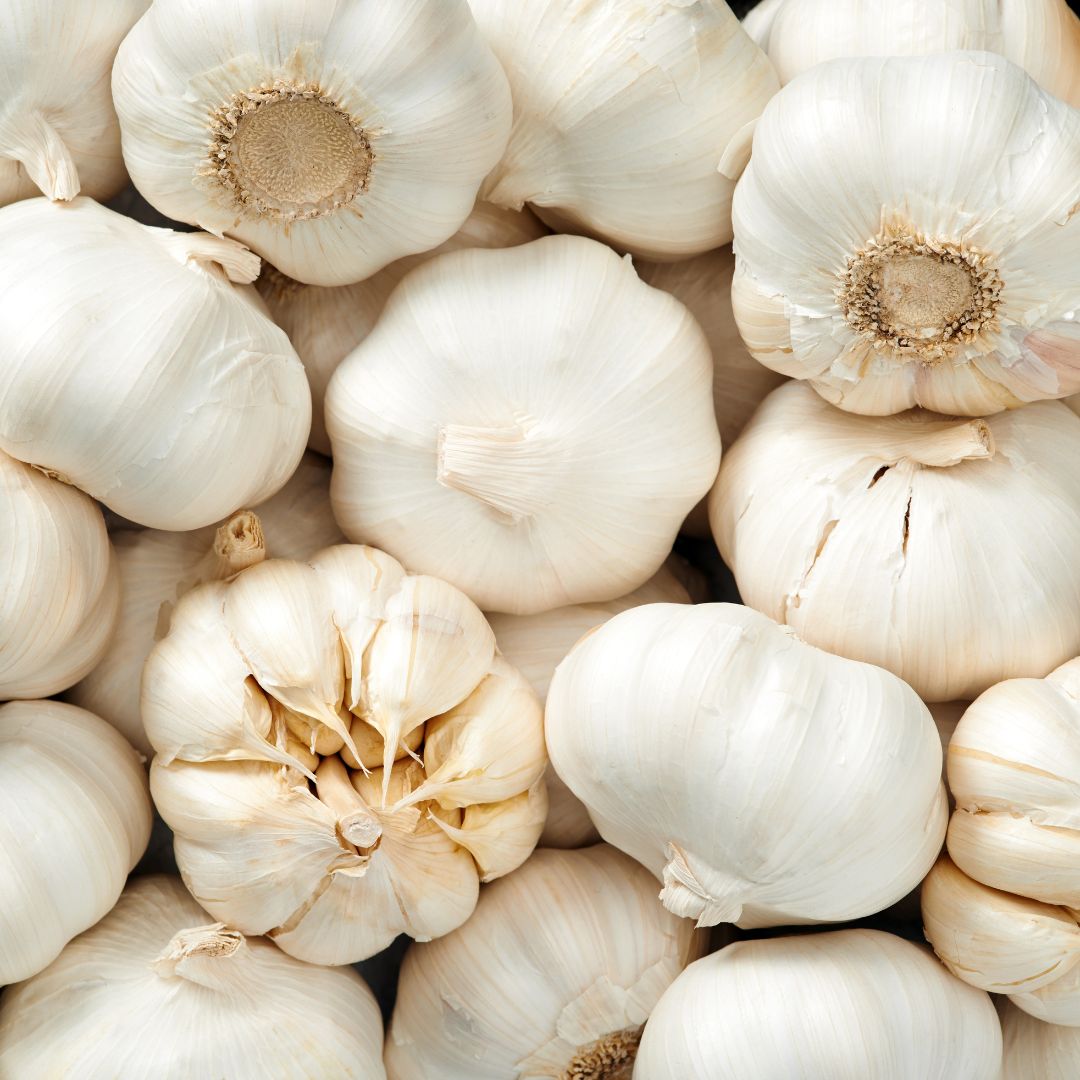 Garlic: Pungent and Powerful