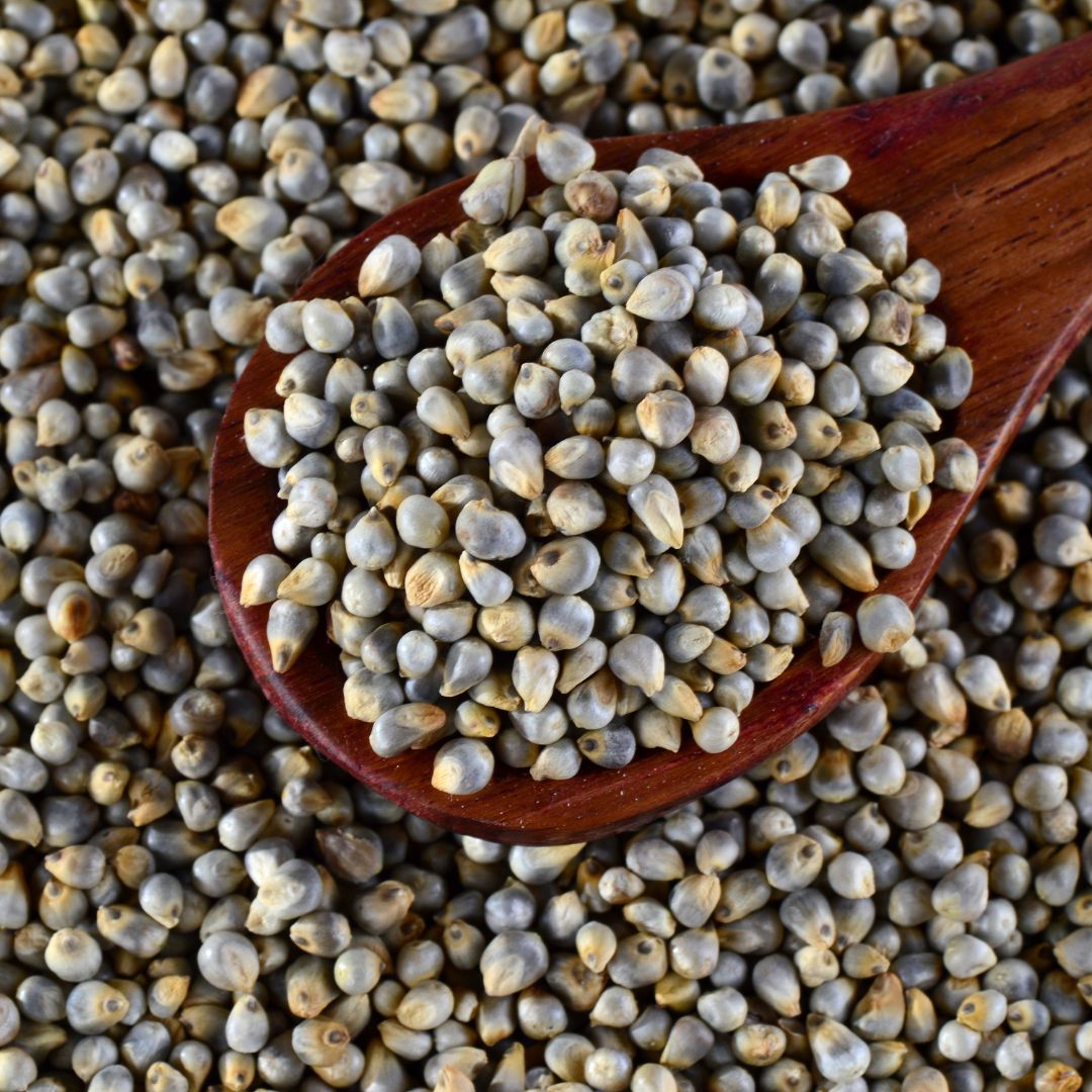 Pearl Millet (Bajra): The Ancient Supergrain