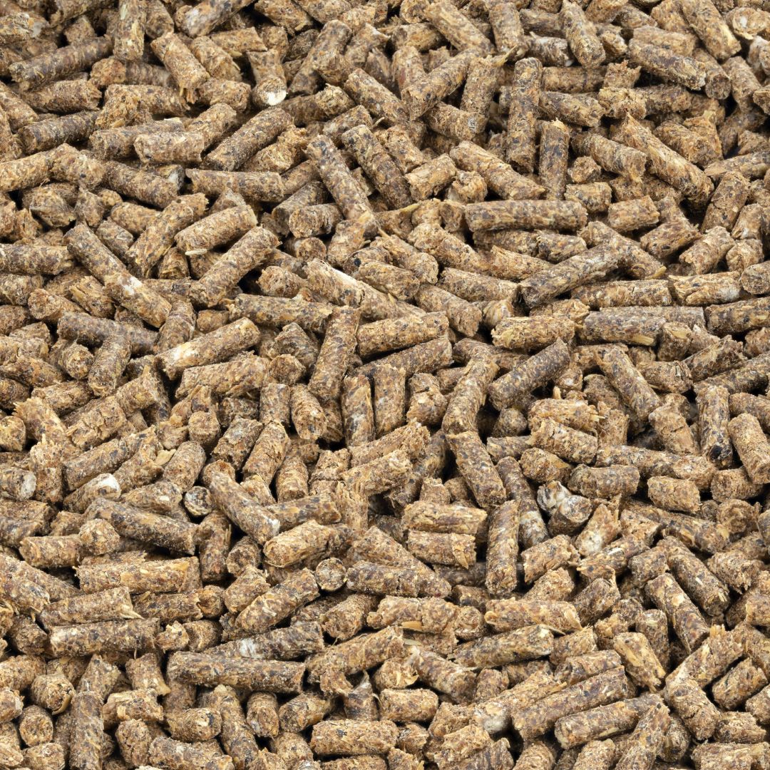 Pig Feed Pellets: Power-Packed Nutrition for Pigs