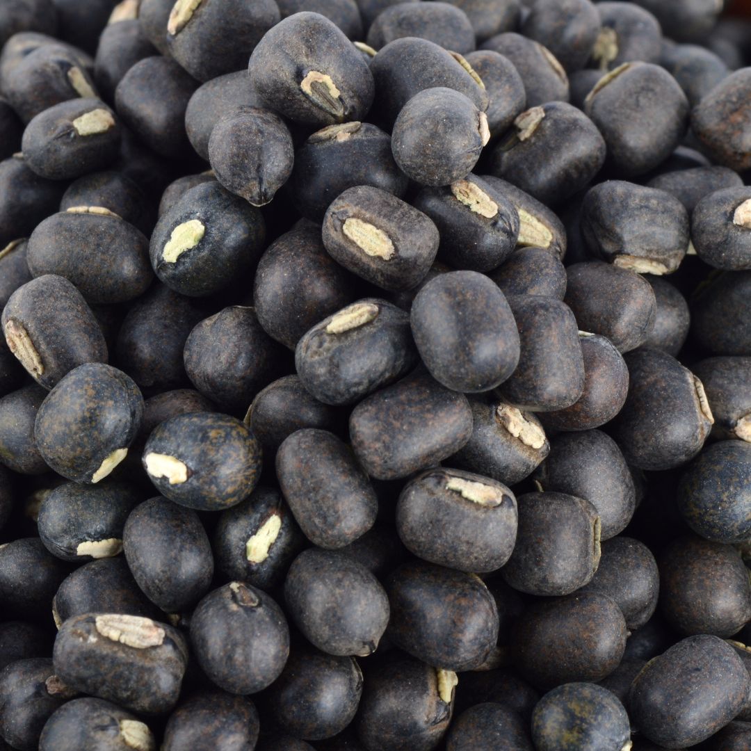 Black Gram (Urd Bean): The South Indian Star