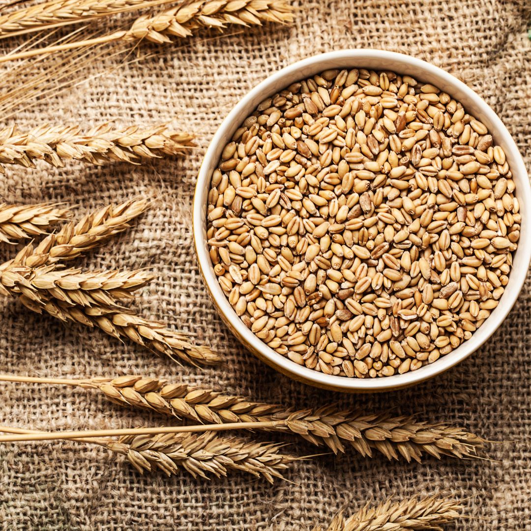 Wheat: Golden Grains of Goodness